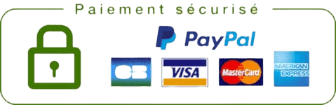logos of secure payment methods